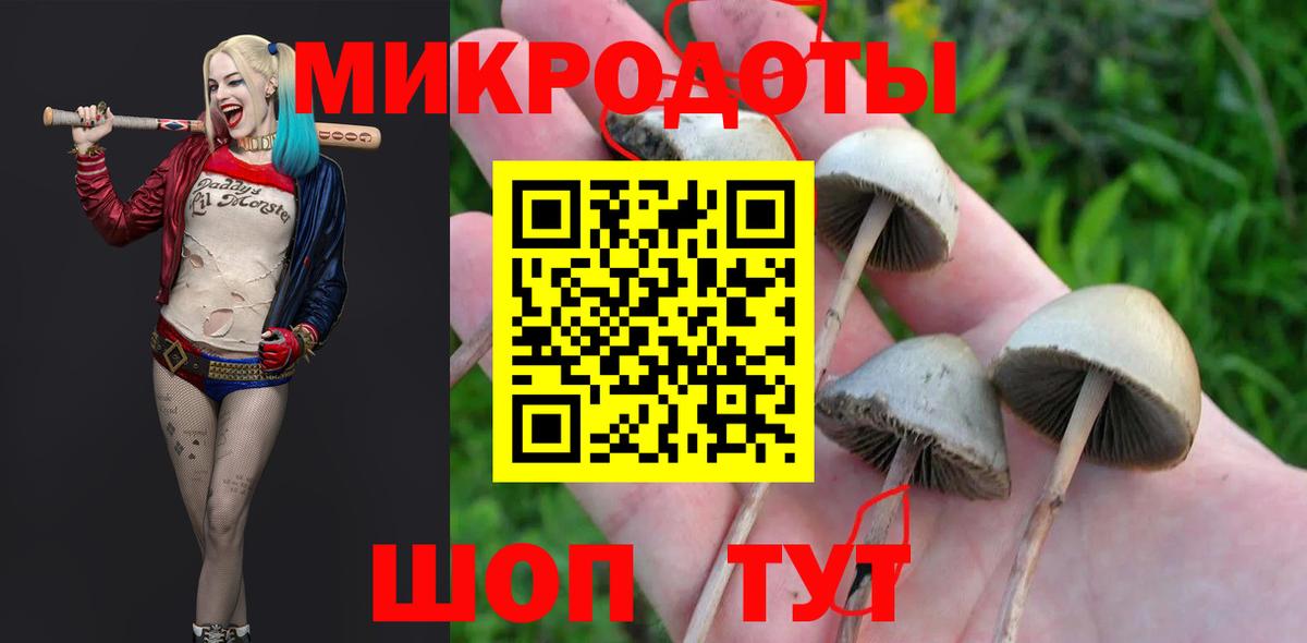 Галлюциногенные грибы мицелий  Галлюциногенные грибы Psilocybe  Ессентуки  Вход с VPN 
