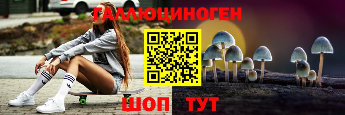 Псилоцибиновые грибы Magic Shrooms Ессентуки